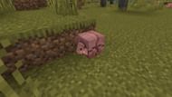Armadillo behavior has been re-tooled in Minecraft Bedrock Preview 1.20.70.20 (Image via Mojang)